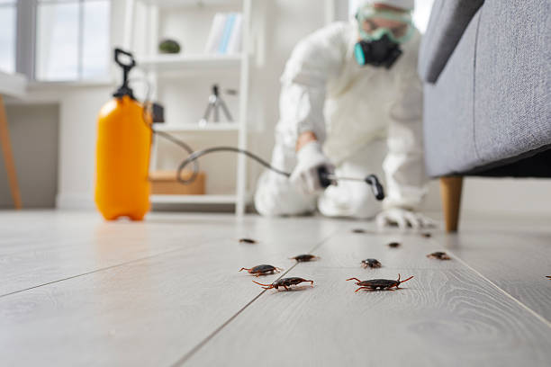 Trusted Cockroach Control service in Tonopah, NV - Nex Pest Control