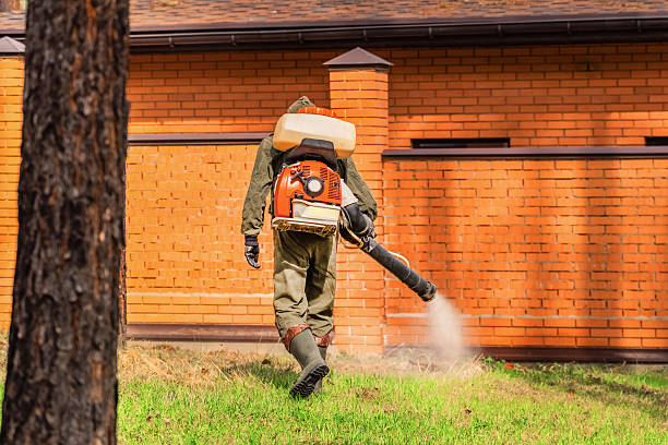 Trusted Ant Control service in Tonopah, NV - Nex Pest Control
